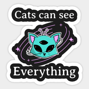 Cats can see everything Sticker